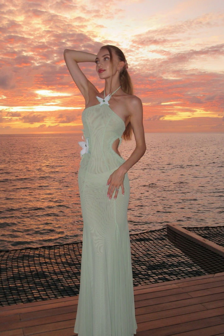 Ismeria | Willowlight Maternity Gown